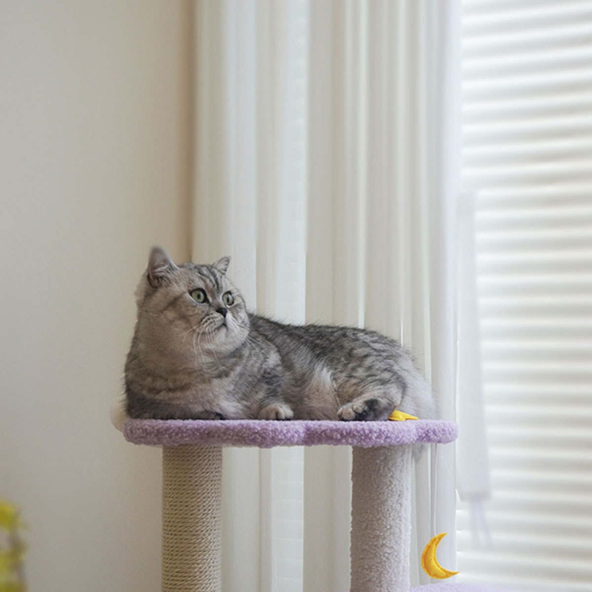 Dreamy Twilight Cat Tree | Purple Celestial Tower with Cloud Perch & Star Platform
