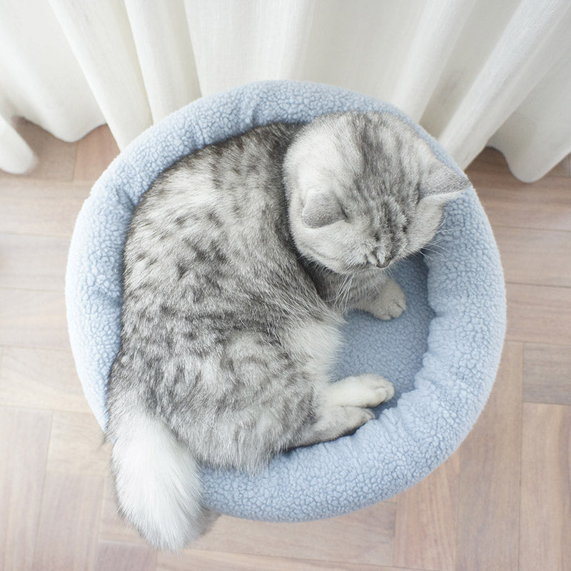 Tolea Cozy Blue Cat Tree | 2-Tier Condo with 40cm Round Bed & Sisal Ball Scratcher