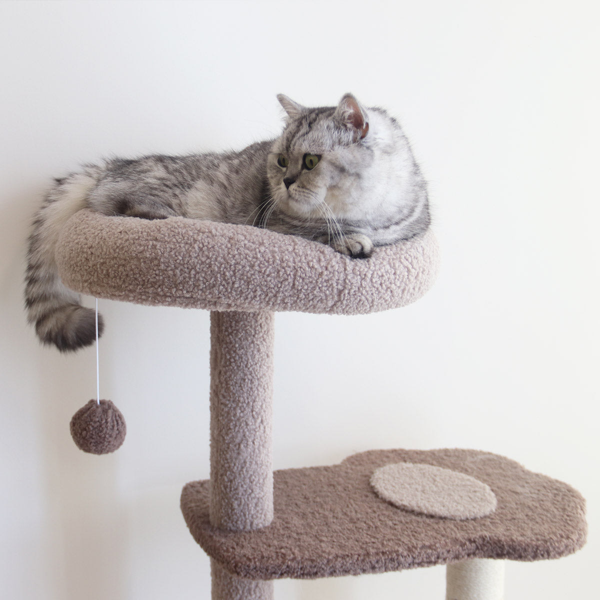 Tolea Adorable Bear Cat Tree | 4-Level Cat Condo with Large Platform