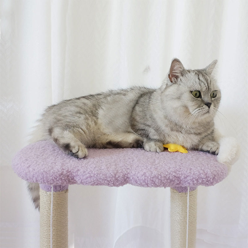 Tolea Cloud Dream Cat Tree | 2-Tier Purple Cat Tower with Star & Moon Toys