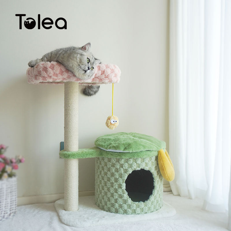 Adorable Cake Velvet Cat Tree for Kittens | Two-Level Cat Condo & Perch