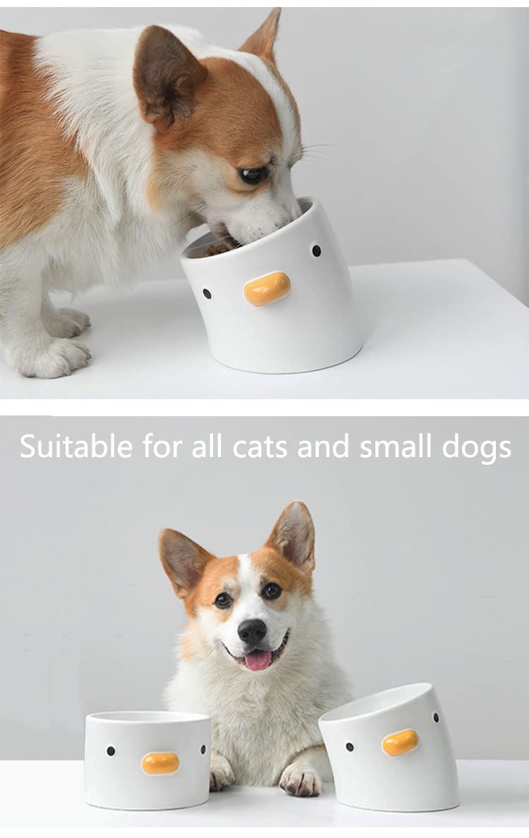 PURROOM Raised Cat Bowl 18 deg tilt cute chi