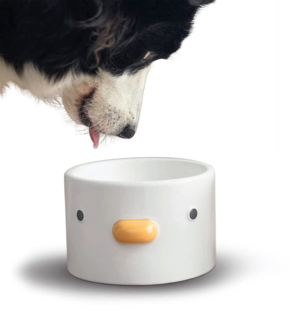 PURROOM Raised Cat Bowl 18 deg tilt cute chi