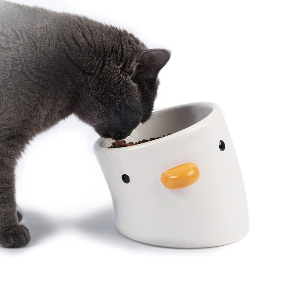 PURROOM Raised Cat Bowl 18 deg tilt cute chi
