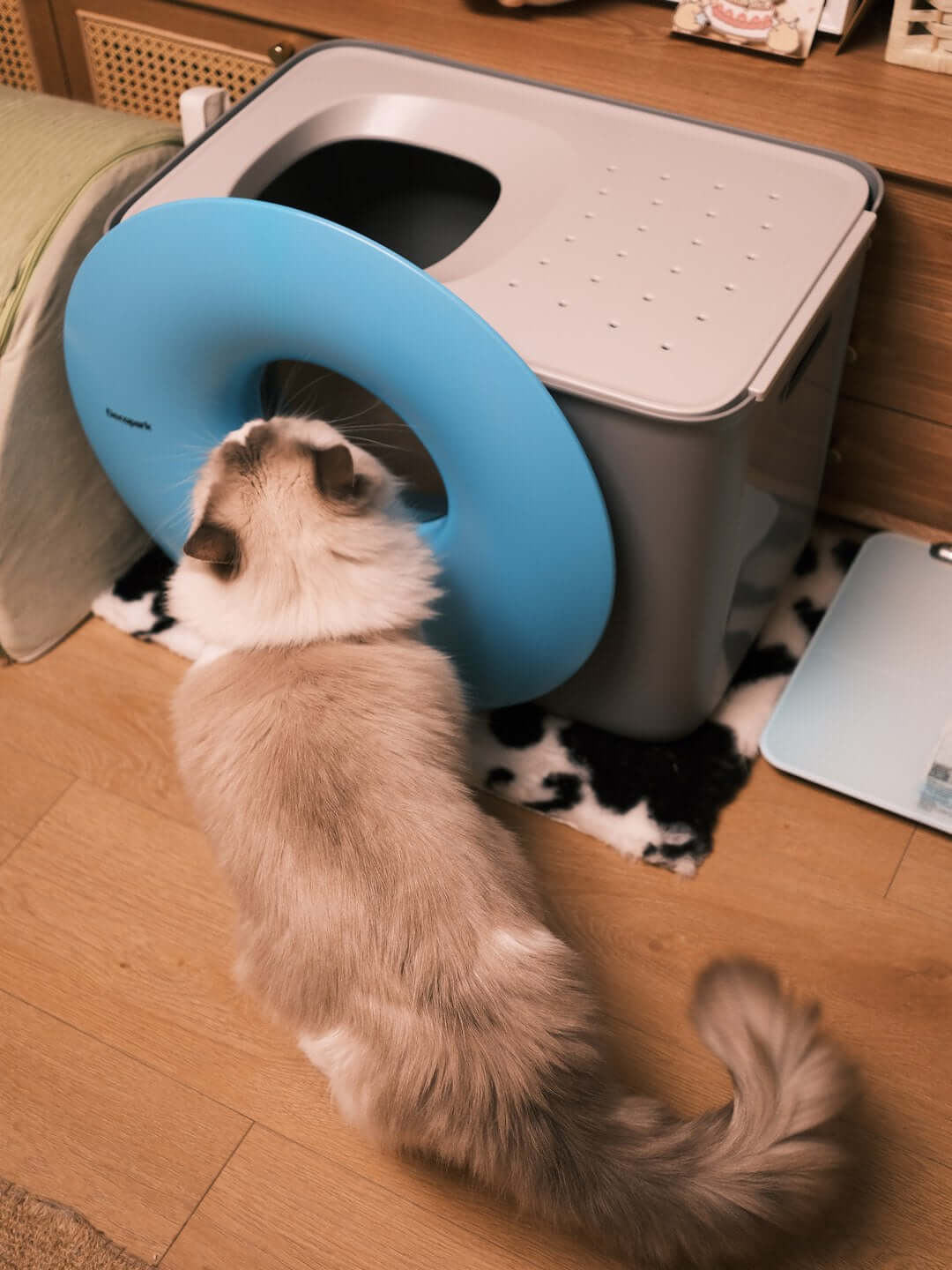Modern Cat Litter Box with Scoop – Sleek & Odor Control Design