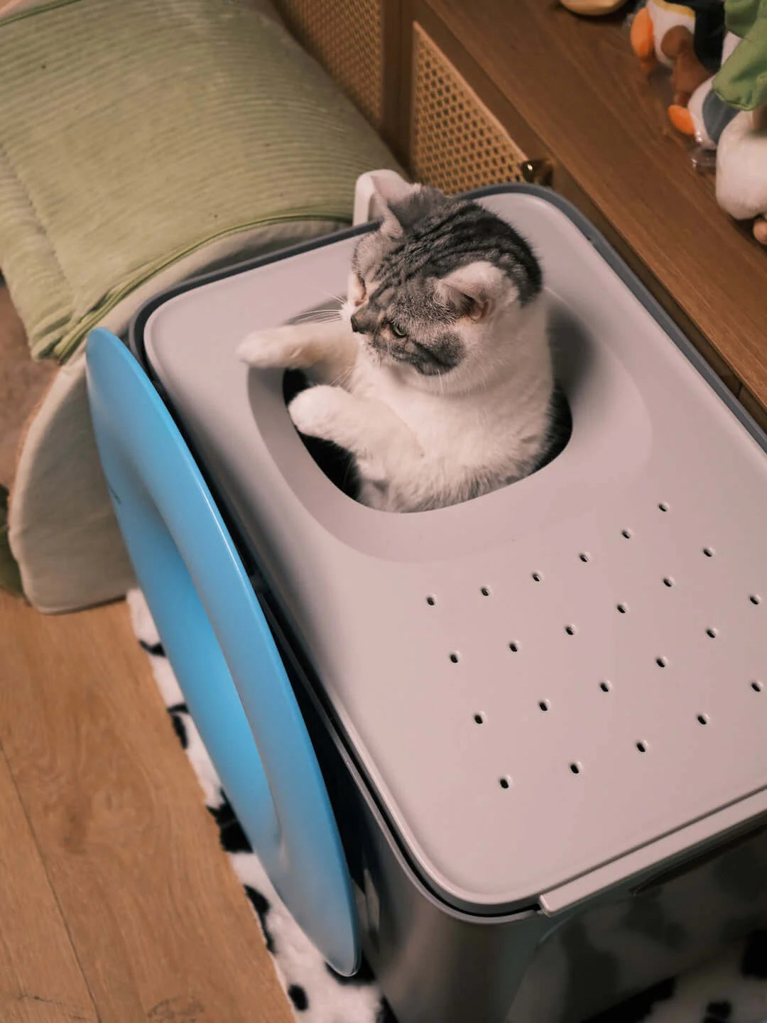Modern Cat Litter Box with Scoop – Sleek & Odor Control Design