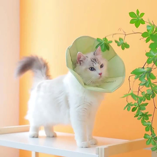 Macaron Pet Recovery Collar | Lightweight, Breathable E-Collar with Wide Full Coverage