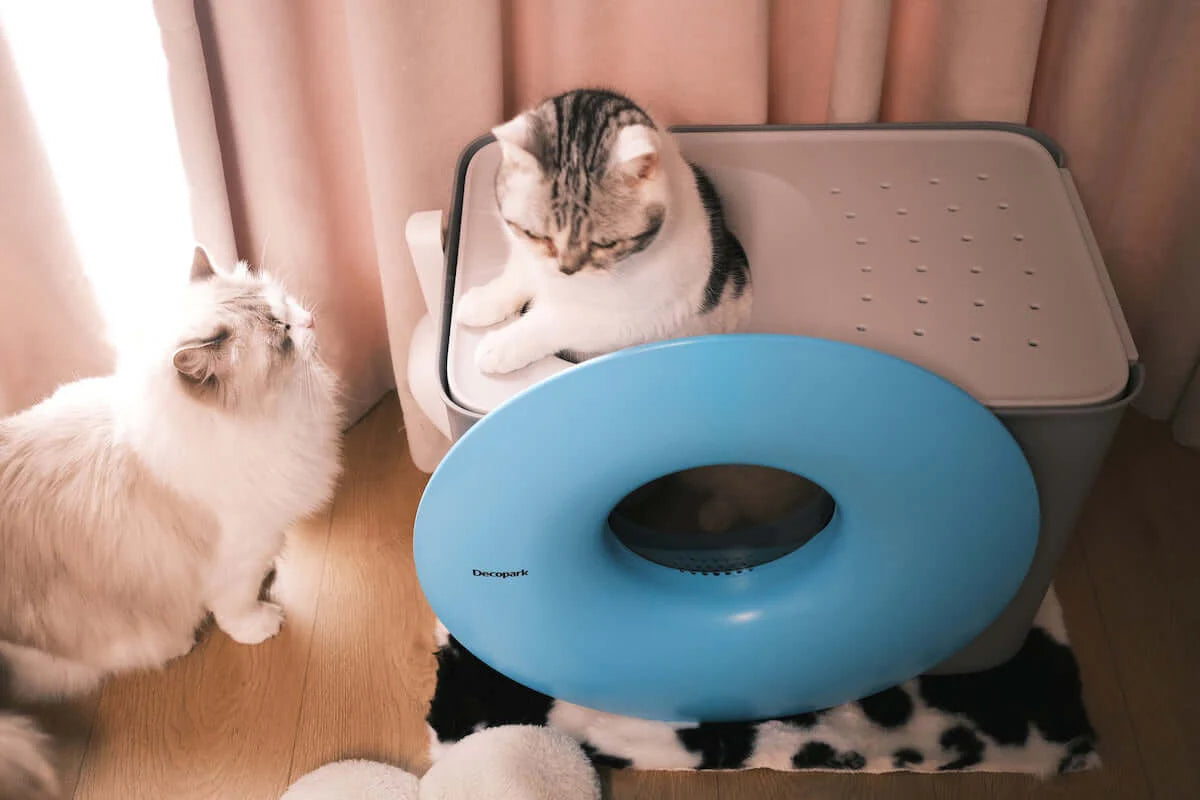 Modern Cat Litter Box with Scoop – Sleek & Odor Control Design