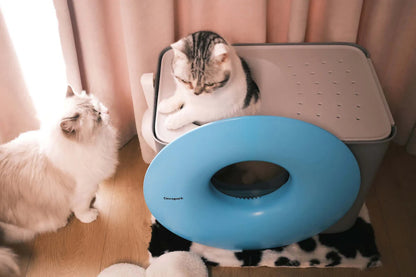 Modern Cat Litter Box with Scoop – Sleek & Odor Control Design