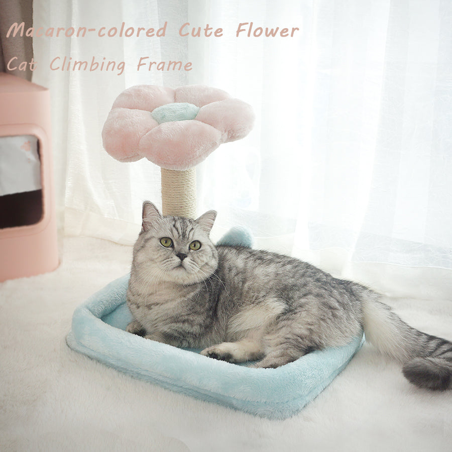 Tolea Minimalist Petal Cat Tree | Macaron Collection