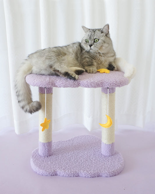 Tolea Cloud Dream Cat Tree | 2-Tier Purple Cat Tower with Star & Moon Toys